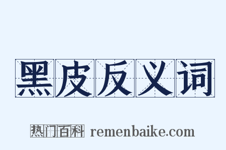 黑皮反义词是什么意思的图片